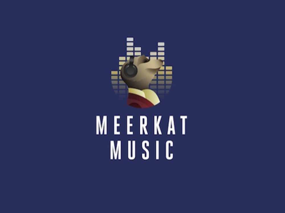 Meerkat Music Take That concert